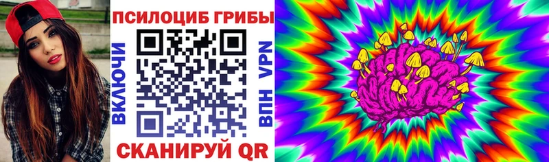 Купить  Шлиссельбург  Псилоцибиновые грибы Magic Shrooms 